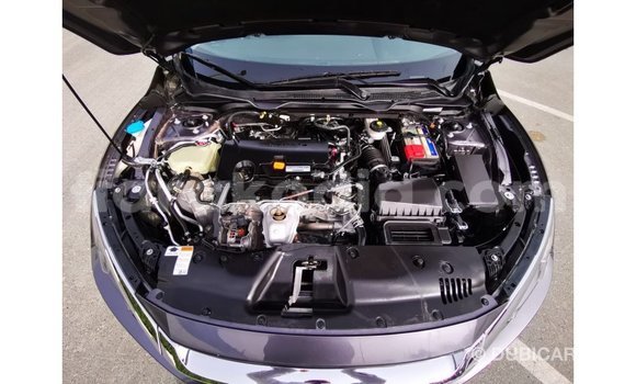 Hividy Honda C Hafa Bike in Import - Dubai in Diana Hividy Honda C Hafa Bike in Import - Dubai in Diana