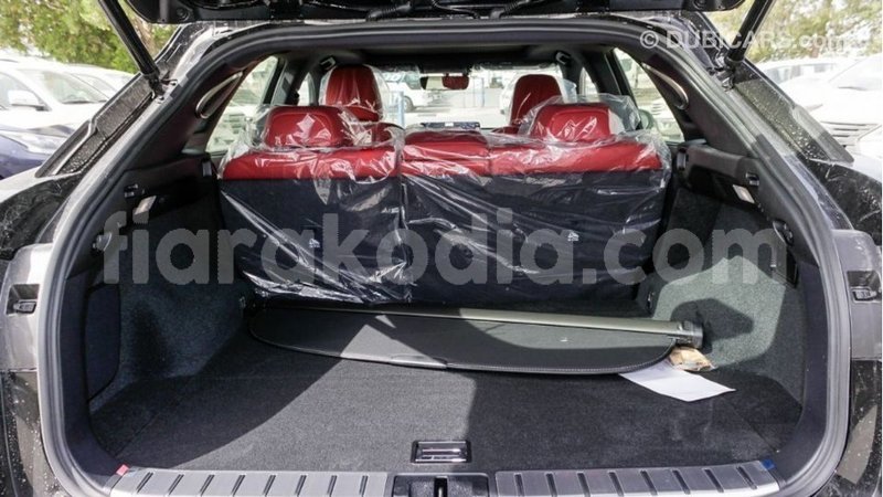 Big with watermark lexus rx 300 diana import dubai 5796