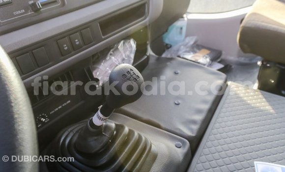 Hividy Toyota Coaster fotsy Car in Import - Dubai in Diana Hividy Toyota Coaster fotsy Car in Import - Dubai in Diana