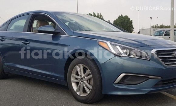 Hividy Hyundai Sonata Blue Car in Import - Dubai in Diana Hividy Hyundai Sonata Blue Car in Import - Dubai in Diana