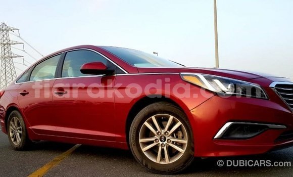 Hividy Hyundai Sonata Red Car in Import - Dubai in Diana Hividy Hyundai Sonata Red Car in Import - Dubai in Diana