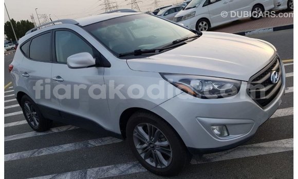 Hividy Hyundai Tucson Hafa Car in Import - Dubai in Diana Hividy Hyundai Tucson Hafa Car in Import - Dubai in Diana