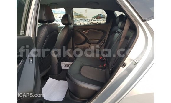 Hividy Hyundai Tucson Hafa Car in Import - Dubai in Diana Hividy Hyundai Tucson Hafa Car in Import - Dubai in Diana