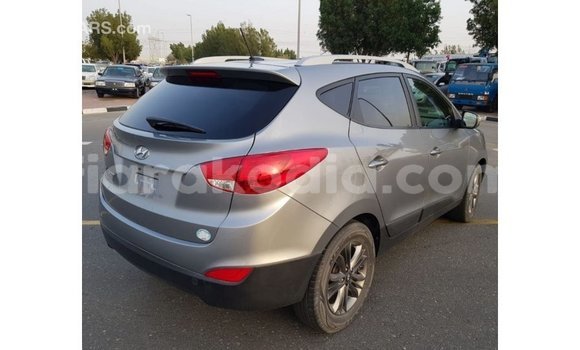 Hividy Hyundai Tucson Hafa Car in Import - Dubai in Diana Hividy Hyundai Tucson Hafa Car in Import - Dubai in Diana