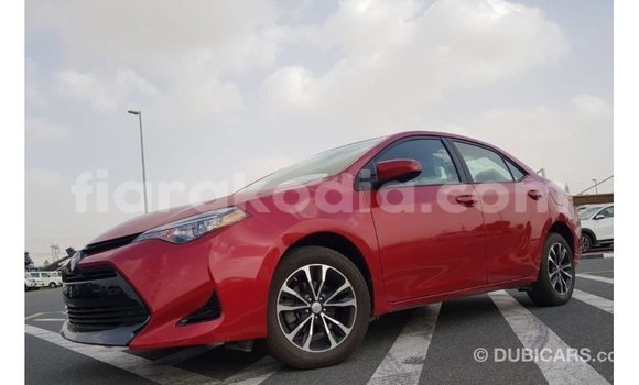 Hividy Toyota Corolla Red Car in Import - Dubai in Diana Hividy Toyota Corolla Red Car in Import - Dubai in Diana