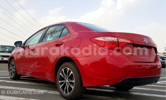 Hividy Toyota Corolla Red Car in Import - Dubai in Diana Hividy Toyota Corolla Red Car in Import - Dubai in Diana