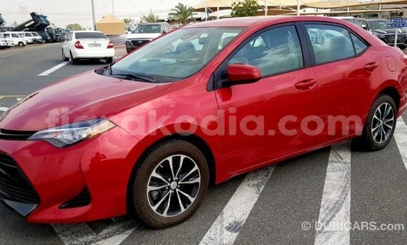 Hividy Toyota Corolla Red Car in Import - Dubai in Diana Hividy Toyota Corolla Red Car in Import - Dubai in Diana