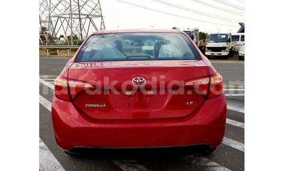 Hividy Toyota Corolla Red Car in Import - Dubai in Diana Hividy Toyota Corolla Red Car in Import - Dubai in Diana