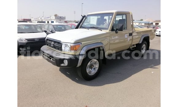Hividy Toyota Land Cruiser beige Car in Import - Dubai in Diana Hividy Toyota Land Cruiser beige Car in Import - Dubai in Diana