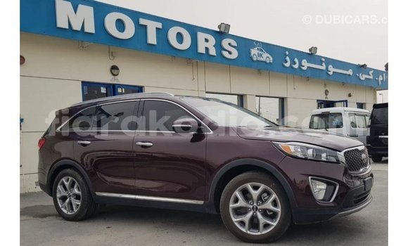 Hividy Kia Sorento Red Car in Import - Dubai in Diana Hividy Kia Sorento Red Car in Import - Dubai in Diana