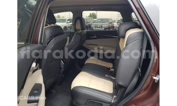 Hividy Kia Sorento Red Car in Import - Dubai in Diana Hividy Kia Sorento Red Car in Import - Dubai in Diana