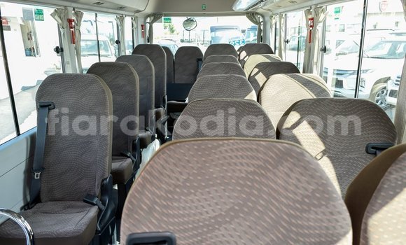 Hividy Toyota Coaster fotsy Car in Import - Dubai in Diana Hividy Toyota Coaster fotsy Car in Import - Dubai in Diana