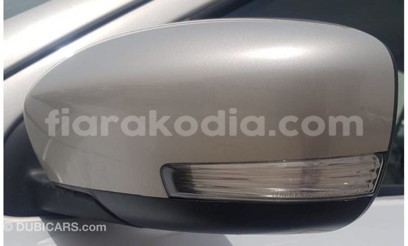 Hividy Suzuki Alto Hafa Car in Import - Dubai in Diana Hividy Suzuki Alto Hafa Car in Import - Dubai in Diana