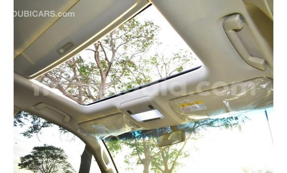 Buy Import Toyota Land Cruiser White Car in Import - Dubai in Diana Buy Import Toyota Land Cruiser White Car in Import - Dubai in Diana