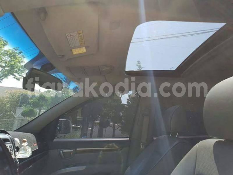 Big with watermark 30713367 2109701875916457 3681336901257956076 n