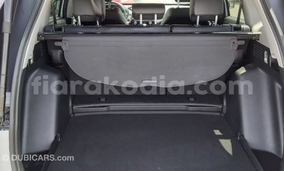 Hividy Honda C Hafa Bike in Import - Dubai in Diana Hividy Honda C Hafa Bike in Import - Dubai in Diana