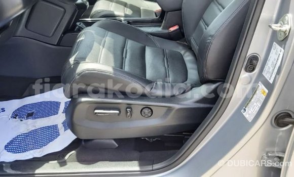 Hividy Honda C Hafa Bike in Import - Dubai in Diana Hividy Honda C Hafa Bike in Import - Dubai in Diana