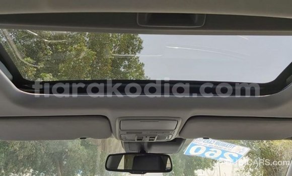 Hividy Honda C Hafa Bike in Import - Dubai in Diana Hividy Honda C Hafa Bike in Import - Dubai in Diana