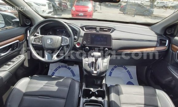 Hividy Honda C Hafa Bike in Import - Dubai in Diana Hividy Honda C Hafa Bike in Import - Dubai in Diana