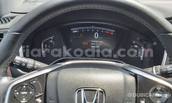 Hividy Honda C Hafa Bike in Import - Dubai in Diana Hividy Honda C Hafa Bike in Import - Dubai in Diana