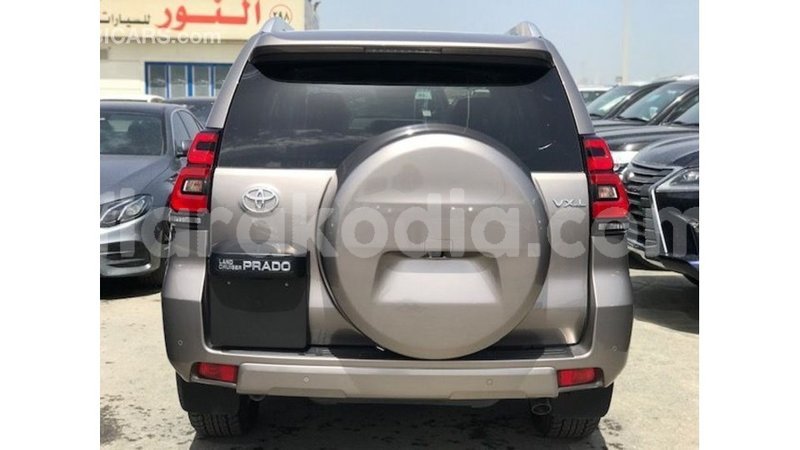 Big with watermark toyota prado diana import dubai 6007