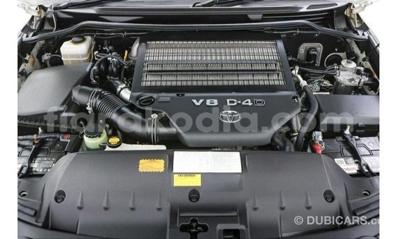 Acheter Import Voiture Toyota Land Cruiser Blanc à Import - Dubai, Diana Acheter Import Voiture Toyota Land Cruiser Blanc à Import - Dubai, Diana