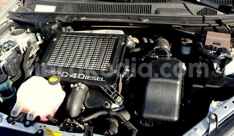 Big with watermark 46387087 10215822020257578 5947009758983618560 n