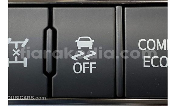 Acheter Import Voiture Toyota Land Cruiser Blanc à Import - Dubai, Diana Acheter Import Voiture Toyota Land Cruiser Blanc à Import - Dubai, Diana