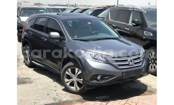 Acheter Import Moto Honda C Autre à Import - Dubai, Diana Acheter Import Moto Honda C Autre à Import - Dubai, Diana