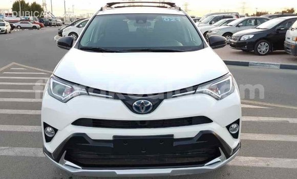Acheter Import Voiture Toyota RAV4 Blanc à Import - Dubai, Diana Acheter Import Voiture Toyota RAV4 Blanc à Import - Dubai, Diana