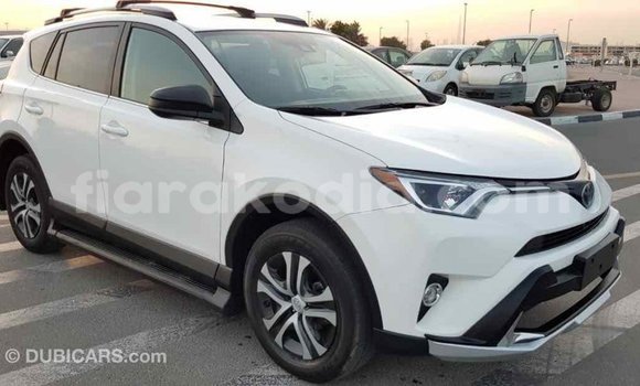 Acheter Import Voiture Toyota RAV4 Blanc à Import - Dubai, Diana Acheter Import Voiture Toyota RAV4 Blanc à Import - Dubai, Diana