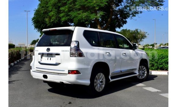 Buy Import Lexus GX White Car in Import - Dubai in Diana Buy Import Lexus GX White Car in Import - Dubai in Diana