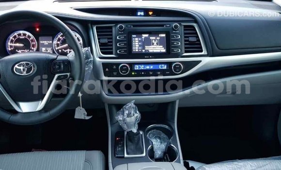 Hividy Toyota Highlander Hafa Car in Import - Dubai in Diana Hividy Toyota Highlander Hafa Car in Import - Dubai in Diana