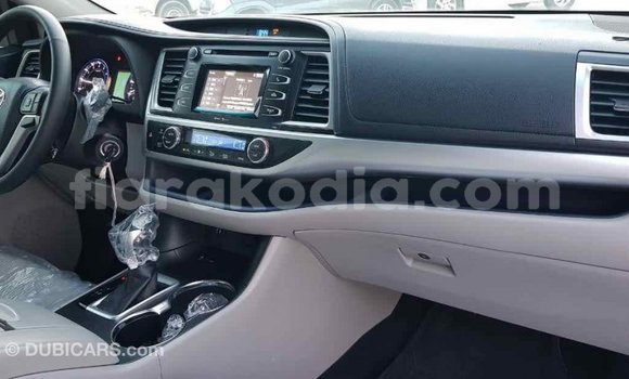 Hividy Toyota Highlander Hafa Car in Import - Dubai in Diana Hividy Toyota Highlander Hafa Car in Import - Dubai in Diana