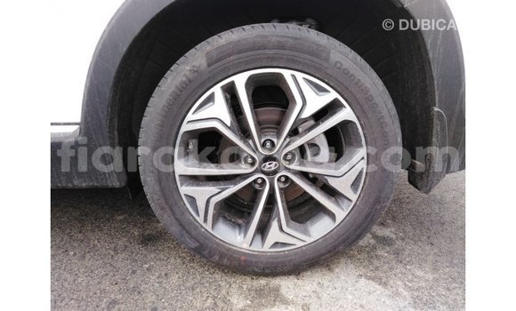 Hividy Hyundai Santa Fe fotsy Car in Import - Dubai in Diana Hividy Hyundai Santa Fe fotsy Car in Import - Dubai in Diana