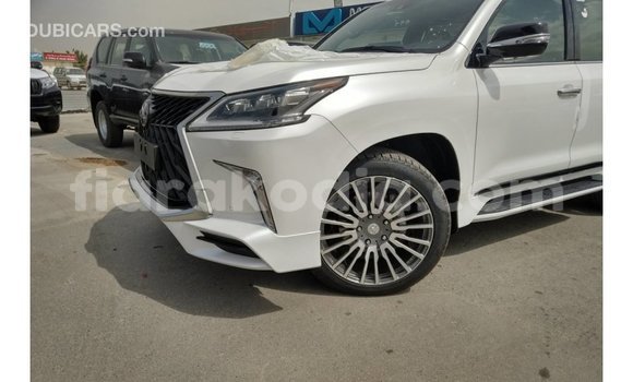 Acheter Import Voiture Lexus LX Blanc à Import - Dubai, Diana