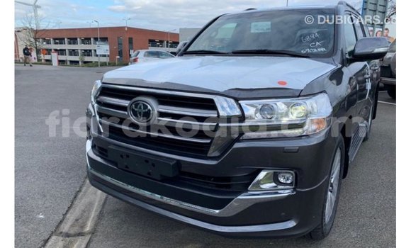 Buy Import Toyota Land Cruiser Other Car in Import - Dubai in Diana Buy Import Toyota Land Cruiser Other Car in Import - Dubai in Diana