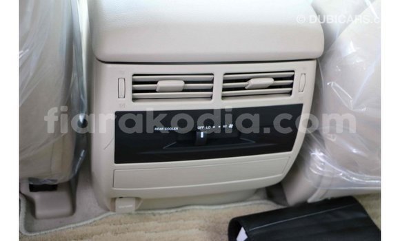 Hividy Toyota Land Cruiser Black Car in Import - Dubai in Diana Hividy Toyota Land Cruiser Black Car in Import - Dubai in Diana