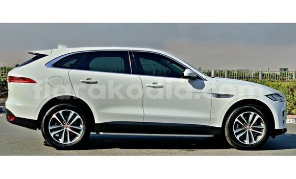 Hividy Jaguar F-Pace fotsy Car in Import - Dubai in Diana Hividy Jaguar F-Pace fotsy Car in Import - Dubai in Diana
