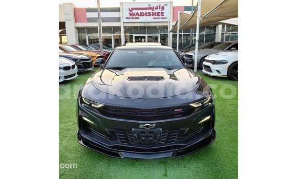 Buy Import Chevrolet Camaro Black Car in Import - Dubai in Diana Buy Import Chevrolet Camaro Black Car in Import - Dubai in Diana