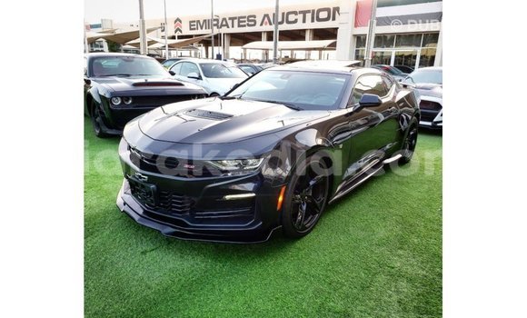 Buy Import Chevrolet Camaro Black Car in Import - Dubai in Diana Buy Import Chevrolet Camaro Black Car in Import - Dubai in Diana