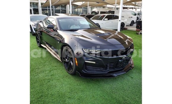 Buy Import Chevrolet Camaro Black Car in Import - Dubai in Diana Buy Import Chevrolet Camaro Black Car in Import - Dubai in Diana