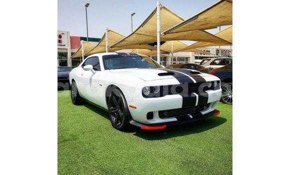 Acheter Import Voiture Dodge Challenger Blanc à Import - Dubai, Diana