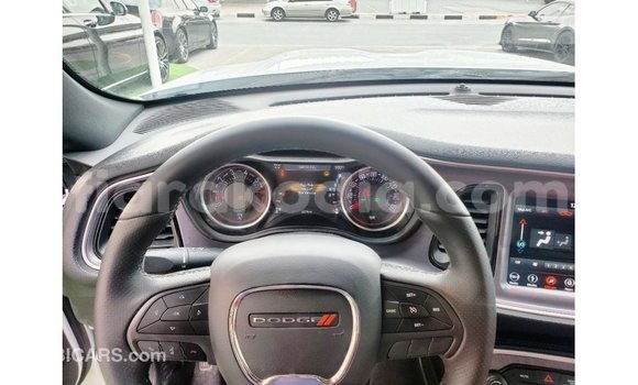Acheter Import Voiture Dodge Challenger Blanc à Import - Dubai, Diana Acheter Import Voiture Dodge Challenger Blanc à Import - Dubai, Diana
