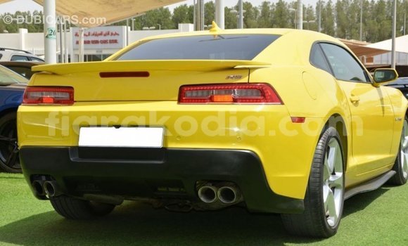 Buy Import Chevrolet Camaro Other Car in Import - Dubai in Diana Buy Import Chevrolet Camaro Other Car in Import - Dubai in Diana