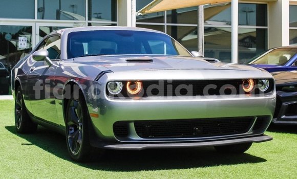 Acheter Import Voiture Dodge Challenger Autre à Import - Dubai, Diana
