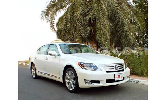 Buy Import Lexus LS White Car in Import - Dubai in Diana