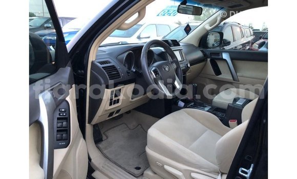 Hividy Toyota Prado Black Car in Import - Dubai in Diana Hividy Toyota Prado Black Car in Import - Dubai in Diana