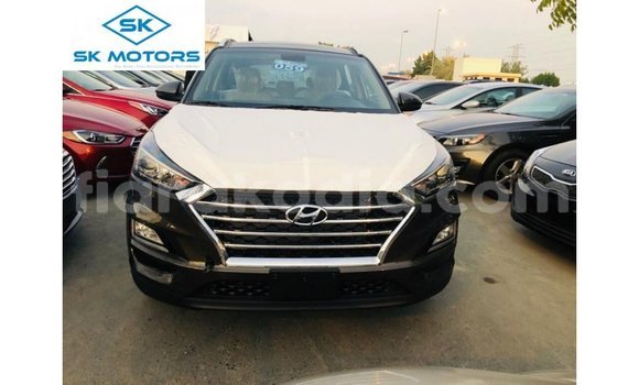 Buy Import Hyundai Tucson Brown Car in Import - Dubai in Diana