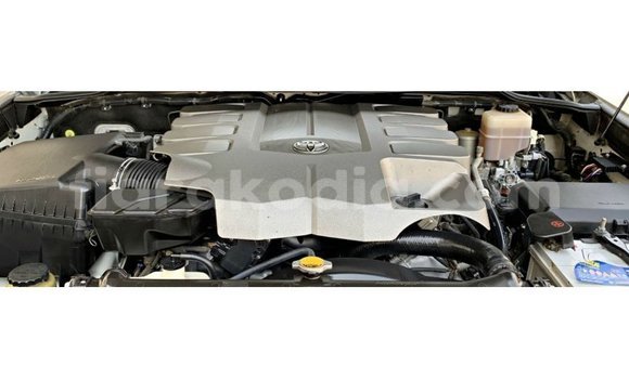 Acheter Import Voiture Toyota Land Cruiser Blanc à Import - Dubai, Diana Acheter Import Voiture Toyota Land Cruiser Blanc à Import - Dubai, Diana